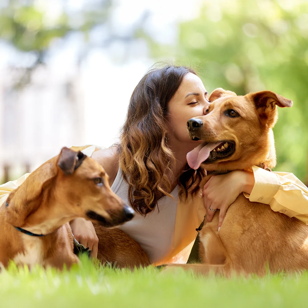Person sitting outdoors kissing one dog while holding two dogs close in a peaceful, grassy setting